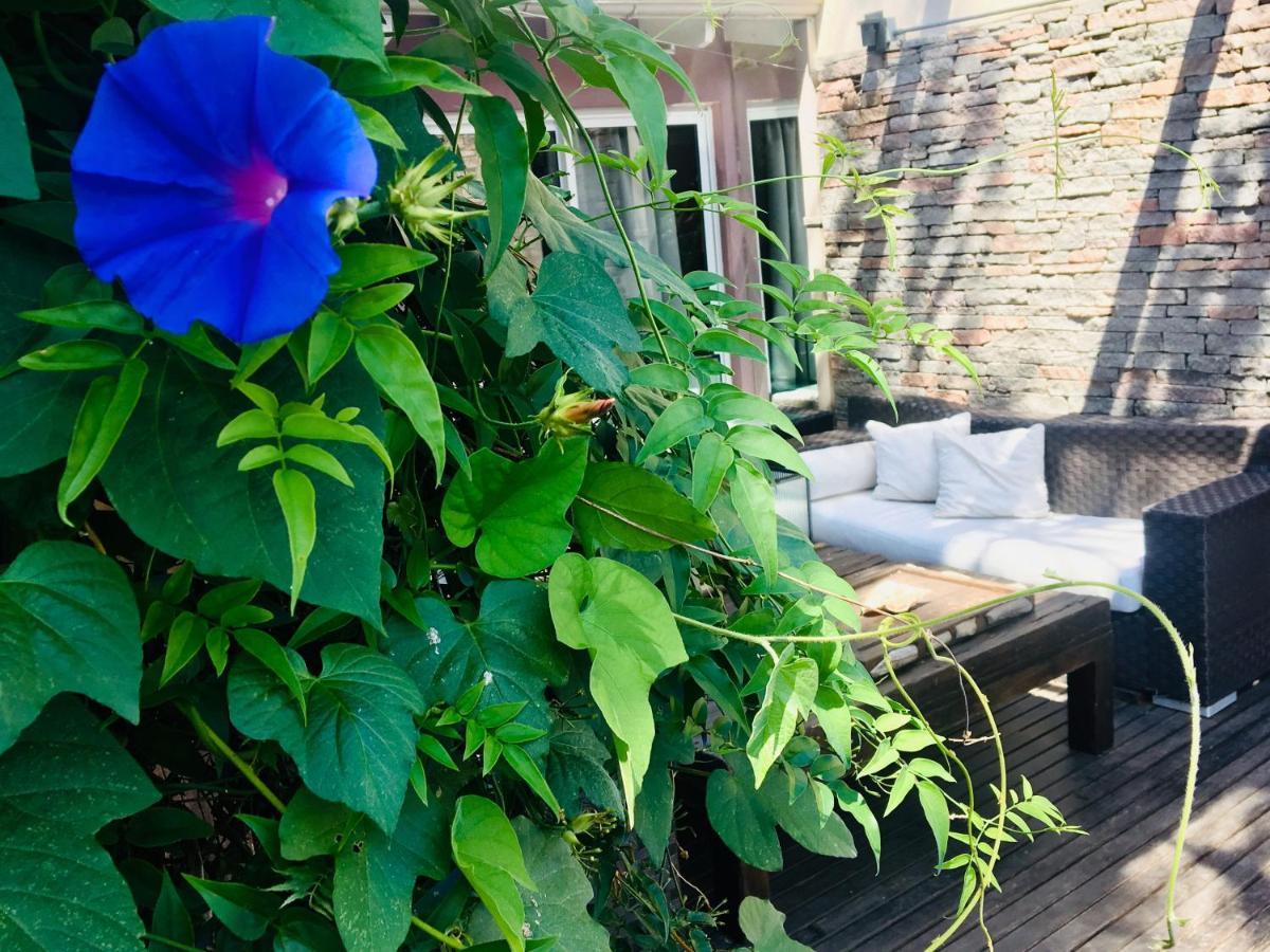 올리보스 Cool Clima B&B 외부 사진
